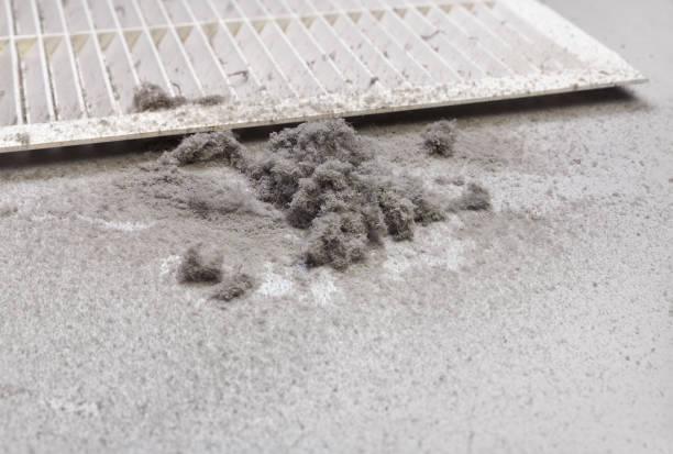 Best Commercial Air Duct Cleaning  in Westport, IN