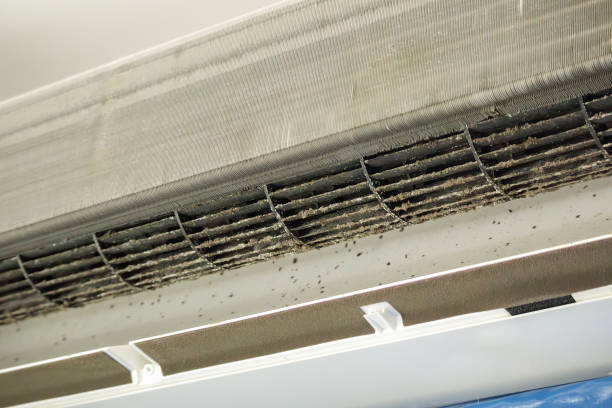 Best General Air Duct Cleaning  in Westport, IN